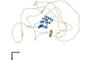AlphaFold protein structure predicition of Human Recombinant MAVS Protein, UniprotID Q7Z434