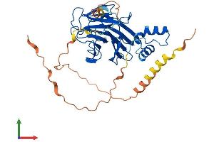 AlphaFold protein structure predicition of Human Recombinant SPSB3 Protein, UniprotID Q6PJ21