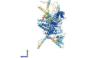 AlphaFold protein structure predicition of Human Recombinant USP25 Protein, UniprotID Q9UHP3