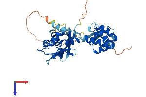 AlphaFold protein structure predicition of Mouse Recombinant Tradd Protein, UniprotID Q3U0V2