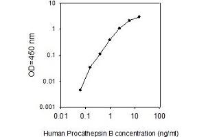Standard Curve (Pro-Cathepsin B Kit ELISA)