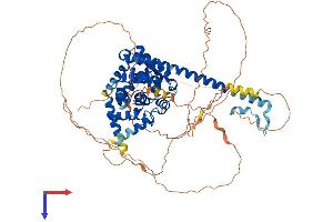 AlphaFold protein structure predicition of Mouse Recombinant Tbc1d12 Protein, UniprotID Q6A039