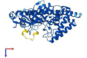 AlphaFold protein structure predicition of Mouse Recombinant Mab21l2 Protein, UniprotID Q8BPP1