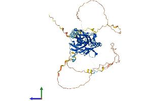 AlphaFold protein structure predicition of Mouse Recombinant Rela Protein, UniprotID Q04207
