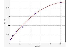 Matrix Metallopeptidase 11 (Stromelysin 3) (MMP11) ELISA Kit