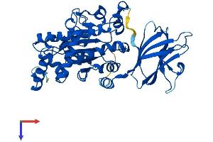 AlphaFold protein structure predicition of Mouse Recombinant Sec14l4 Protein, UniprotID Q8R0F9