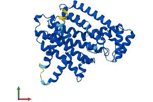 AlphaFold protein structure predicition of Mouse Recombinant Fdps Protein, UniprotID Q920E5