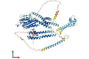 AlphaFold protein structure predicition of Human Recombinant PKD2L1 Protein, UniprotID Q9P0L9