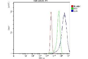 Flow Cytometry analysis of MCF-7 cells using anti-LSR antibody (ABIN7599514).