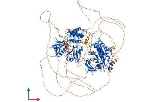 AlphaFold protein structure predicition of Mouse Recombinant Ptpn14 Protein, UniprotID Q62130