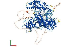 AlphaFold protein structure predicition of Human Recombinant TERT Protein, UniprotID O14746