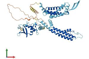 AlphaFold protein structure predicition of Mouse Recombinant Kcnc1 Protein, UniprotID P15388