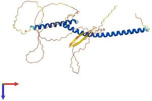 AlphaFold protein structure predicition of Human Recombinant USF2 Protein, UniprotID Q15853
