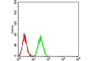 Flow cytometric analysis of Hela cells using BNIP3 mouse mAb (green) and negative control (red). (BNIP3 anticorps  (AA 50-155))