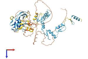 AlphaFold protein structure predicition of Mouse Recombinant Prdm14 Protein, UniprotID E9Q3T6