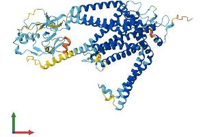 AlphaFold protein structure predicition of Mouse Recombinant Slc44a4 Protein, UniprotID Q91VA1