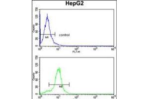 Flow cytometry analysis of HepG2 cells (bottom histogram) compared to a negative control cell (top histogram).