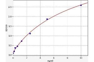 Typical standard curve (IL36A/IL1F6 Kit ELISA)