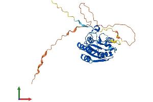 AlphaFold protein structure predicition of Human Recombinant BABAM1 Protein, UniprotID Q9NWV8