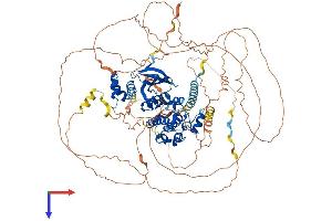 AlphaFold protein structure predicition of Human Recombinant SIK2 Protein, UniprotID Q9H0K1