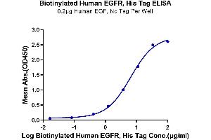 Immobilized Human EGF, No Tag at 2 μg/mL (100 μL/well) on the plate.