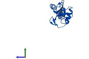 AlphaFold protein structure predicition of Human Recombinant CLEC2B Protein, UniprotID Q92478