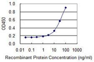 anti-Proliferation-Associated 2G4, 38kDa (PA2G4) (AA 1-110) antibody