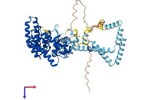 AlphaFold protein structure predicition of Mouse Recombinant St7l Protein, UniprotID Q8K4P7
