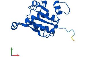 AlphaFold protein structure predicition of Human Recombinant FUOM Protein, UniprotID A2VDF0