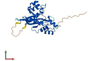 AlphaFold protein structure predicition of Human Recombinant NMNAT3 Protein, UniprotID Q96T66