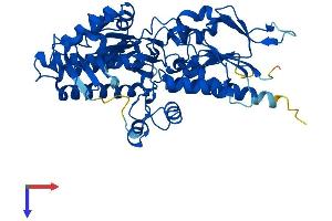 AlphaFold protein structure predicition of Mouse Recombinant Paox Protein, UniprotID Q8C0L6