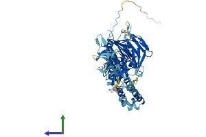 AlphaFold protein structure predicition of Mouse Recombinant Enc1 Protein, UniprotID O35709