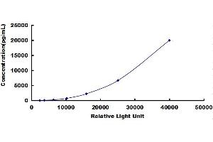 ELISA image for Lipocalin 2 (LCN2) CLIA Kit (ABIN492279)