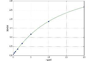 A typical standard curve