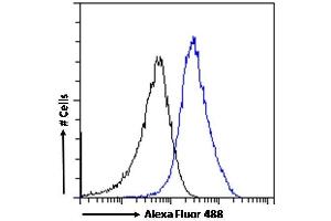 (ABIN185257) Flow cytometric analysis of paraformaldehyde fixed HEK293 cells (blue line), permeabilized with 0.