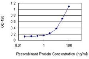Detection limit for recombinant GST tagged RBP7 is 1 ng/ml as a capture antibody.
