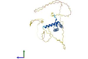 AlphaFold protein structure predicition of Mouse Recombinant Dlx5 Protein, UniprotID P70396