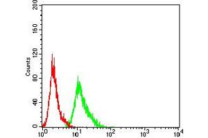 Flow cytometric analysis of MCF-7 cells using AEBP2 mouse mAb (green) and negative control (red).