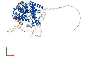 AlphaFold protein structure predicition of Human Recombinant PDE7B Protein, UniprotID Q9NP56