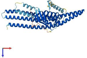 AlphaFold protein structure predicition of Human Recombinant SNX32 Protein, UniprotID Q86XE0