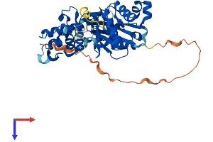 AlphaFold protein structure predicition of Mouse Recombinant Actl7b Protein, UniprotID Q9QY83