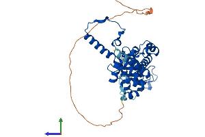 AlphaFold protein structure predicition of Mouse Recombinant Mrps22 Protein, UniprotID Q9CXW2