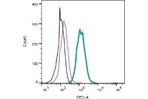 Cell surface detection of CLEC7A/Dectin-1 by direct flow cytometry in live intact mouse J774 macrophage cells: + Rabbit IgG Isotype Control-FITC (ABIN7582044).