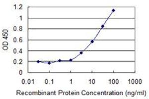Detection limit for recombinant GST tagged CD58 is 1 ng/ml as a capture antibody. (CD58 anticorps  (AA 1-240))