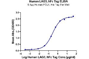 Immobilized Human FGL1, His Tag at 1 μg/mL (100 μL/well) on the plate.