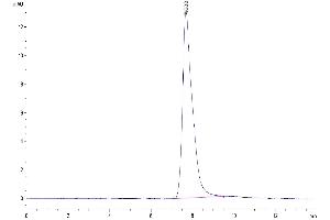 The purity of Mouse AREG is greater than 95 % as determined by SEC-HPLC.