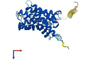AlphaFold protein structure predicition of Mouse Recombinant Aqp7 Protein, UniprotID O54794