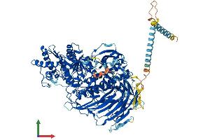 AlphaFold protein structure predicition of Mouse Recombinant Man2a2 Protein, UniprotID Q8BRK9