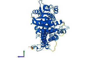 AlphaFold protein structure predicition of Human Recombinant TUBG2 Protein, UniprotID Q9NRH3