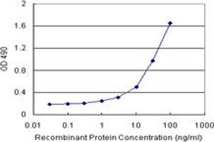 POU6F1 (Human) Matched Antibody Pair